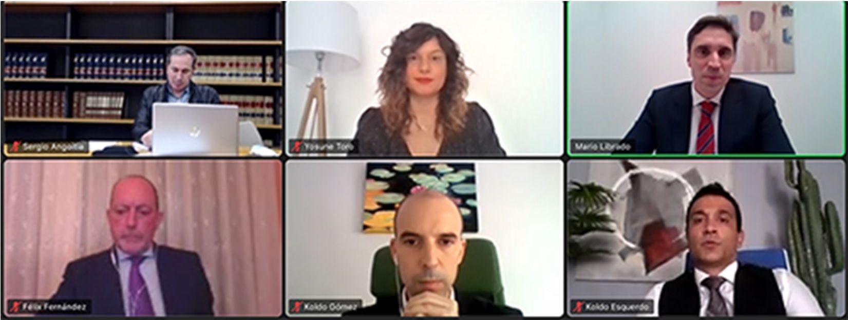 Los seis participantes en el encuentro virtual