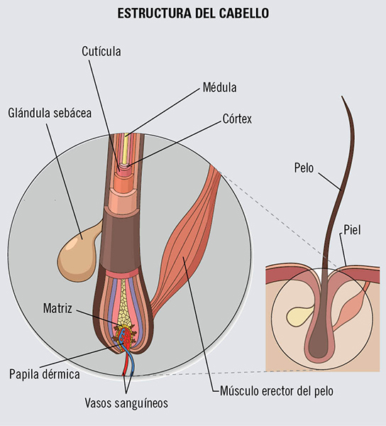 Castellterçol donde conocer mujeres Castellterçol donde conocer mujeres