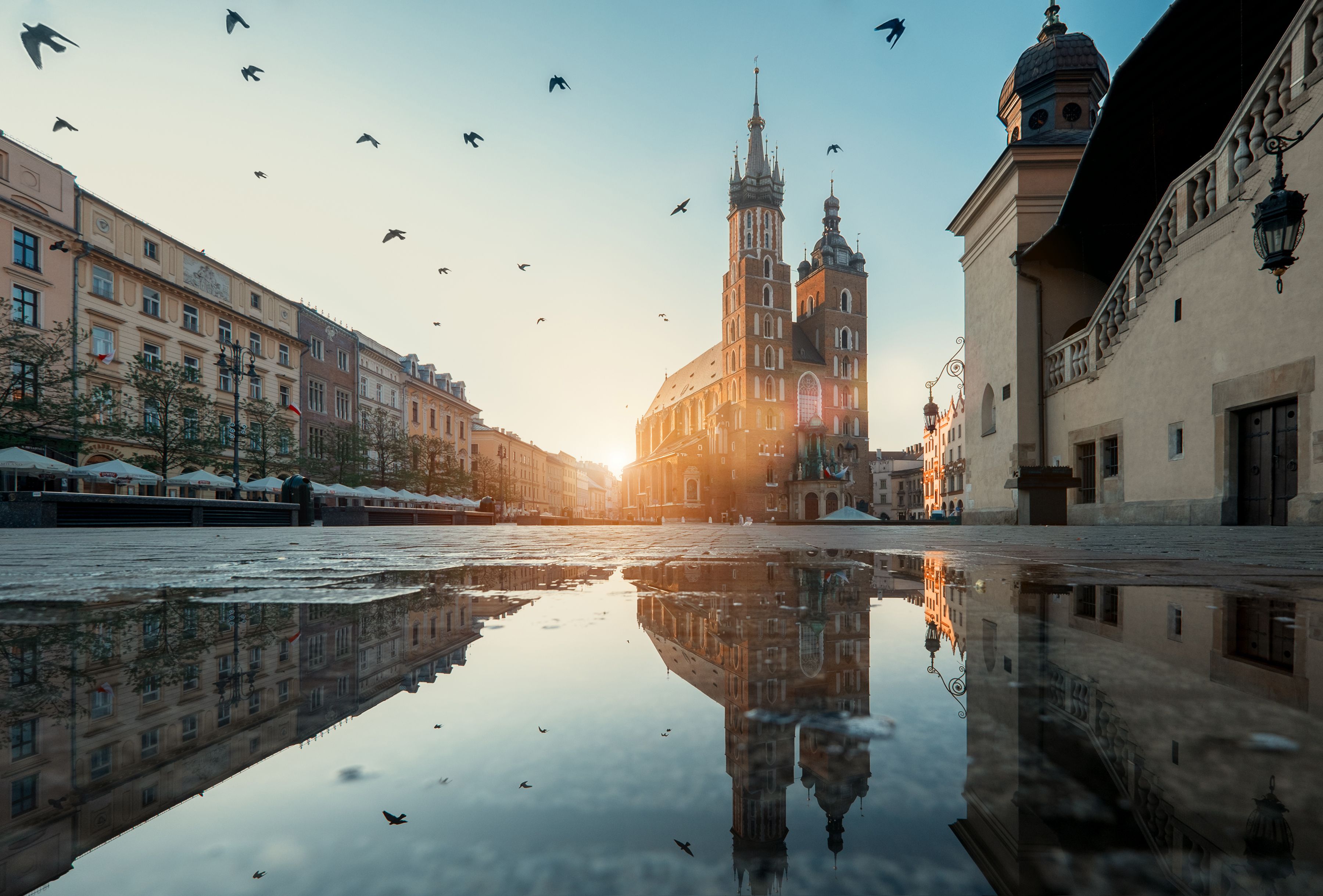 © Shutterstock
