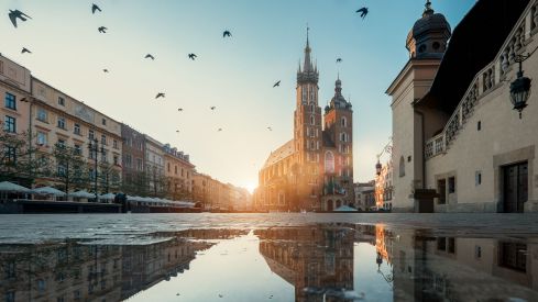 © Shutterstock