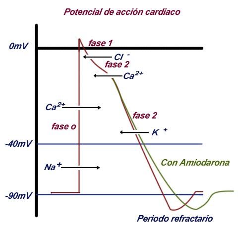 Figura 2 Figura 2