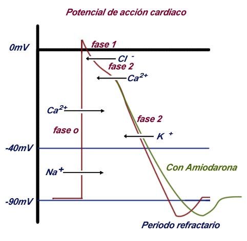 Figura 2