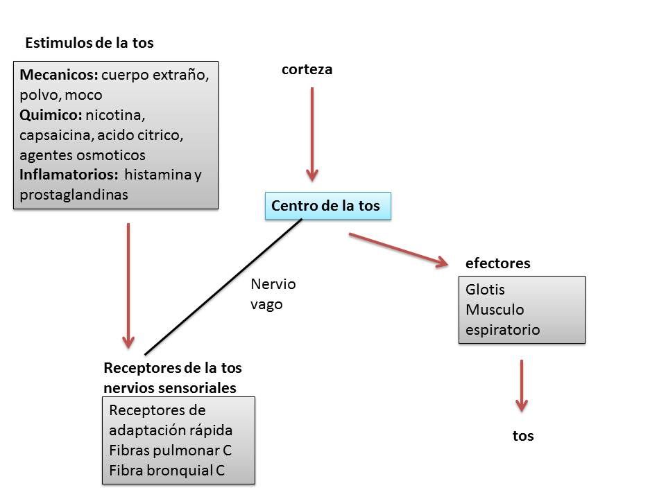 Figura 3 codeina