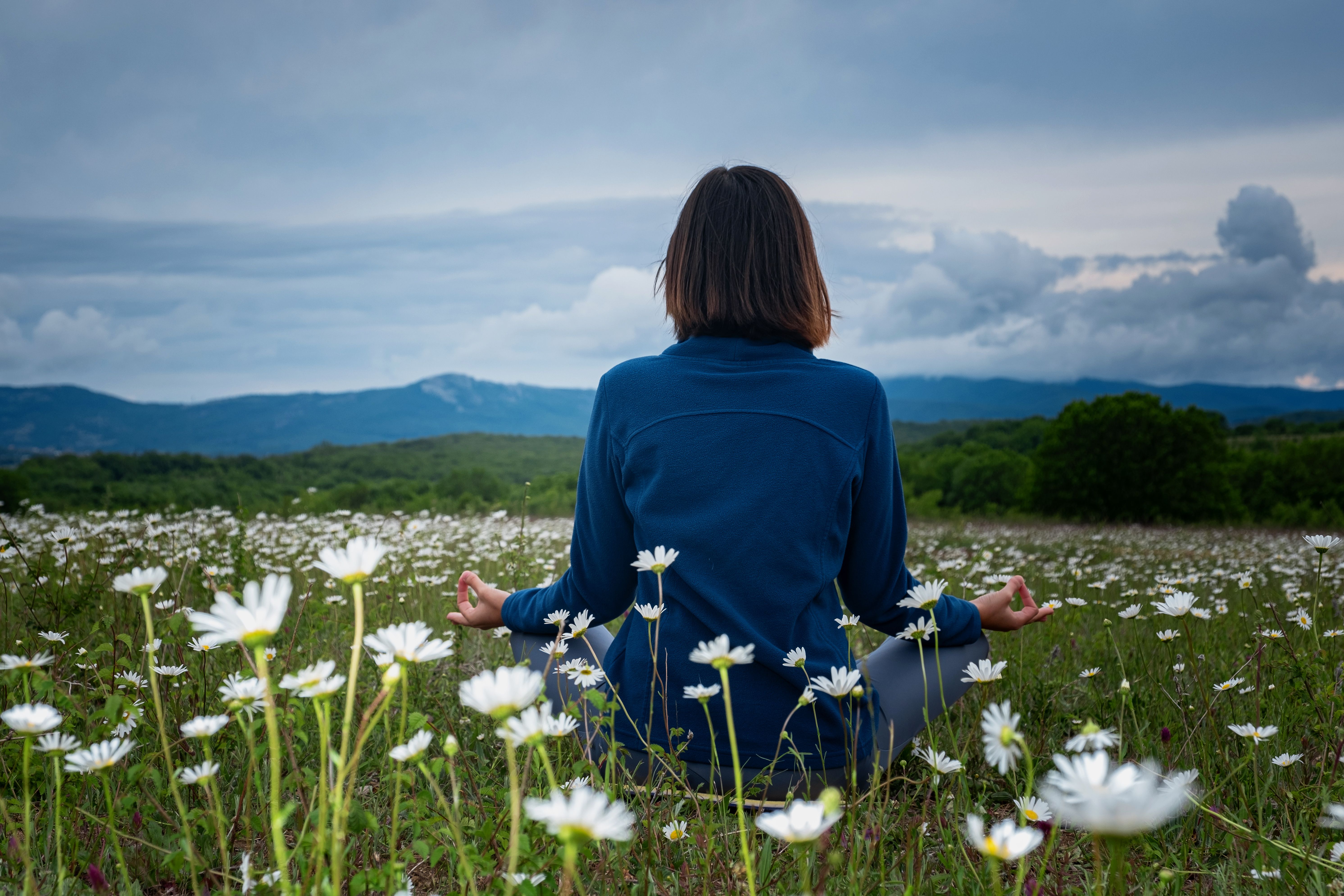 © Shutterstock