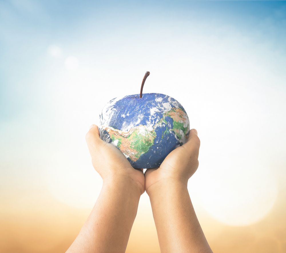 ©shutterstock