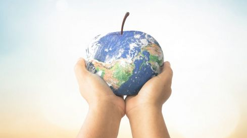 ©shutterstock