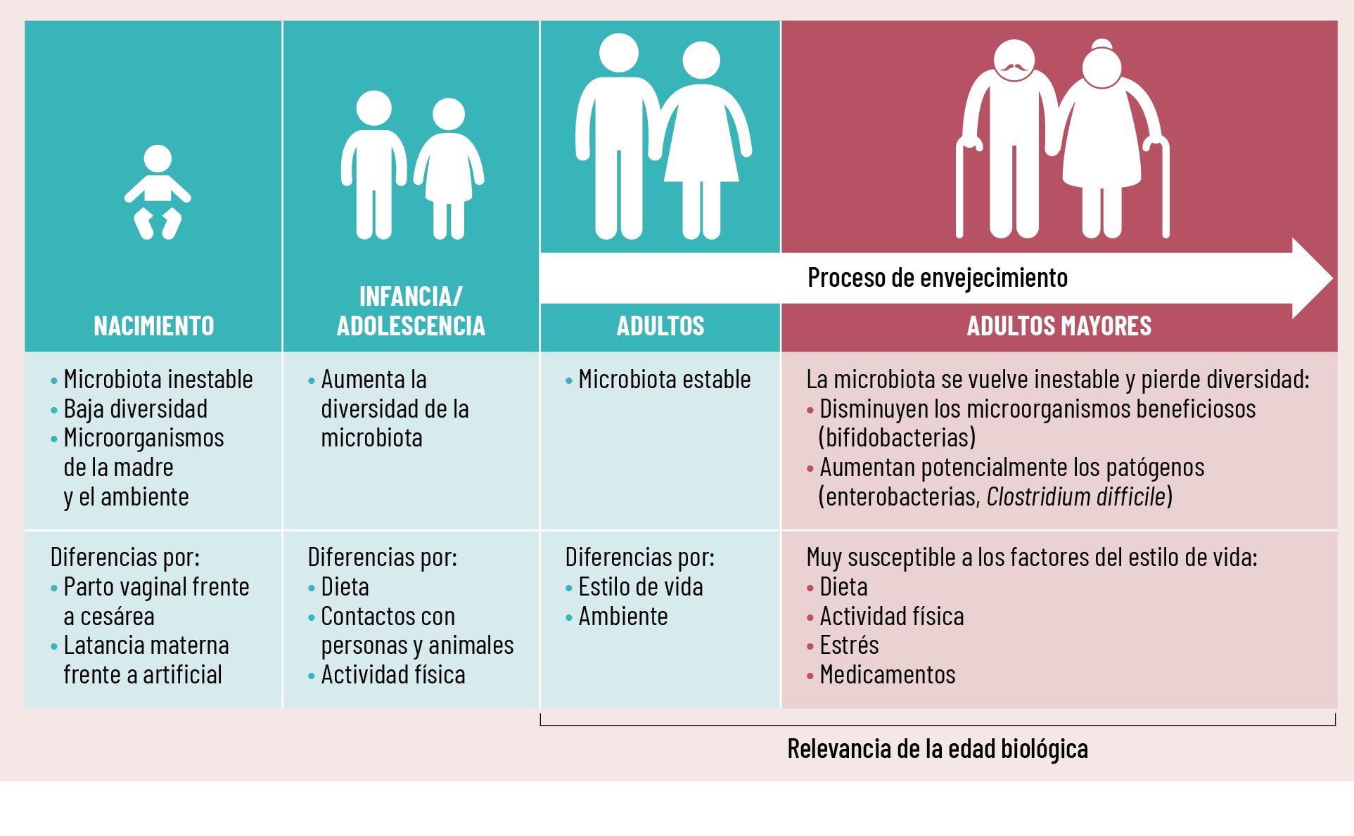 47 EF 606 TENDENCIAS te interesa microbiota intestinal figura 2