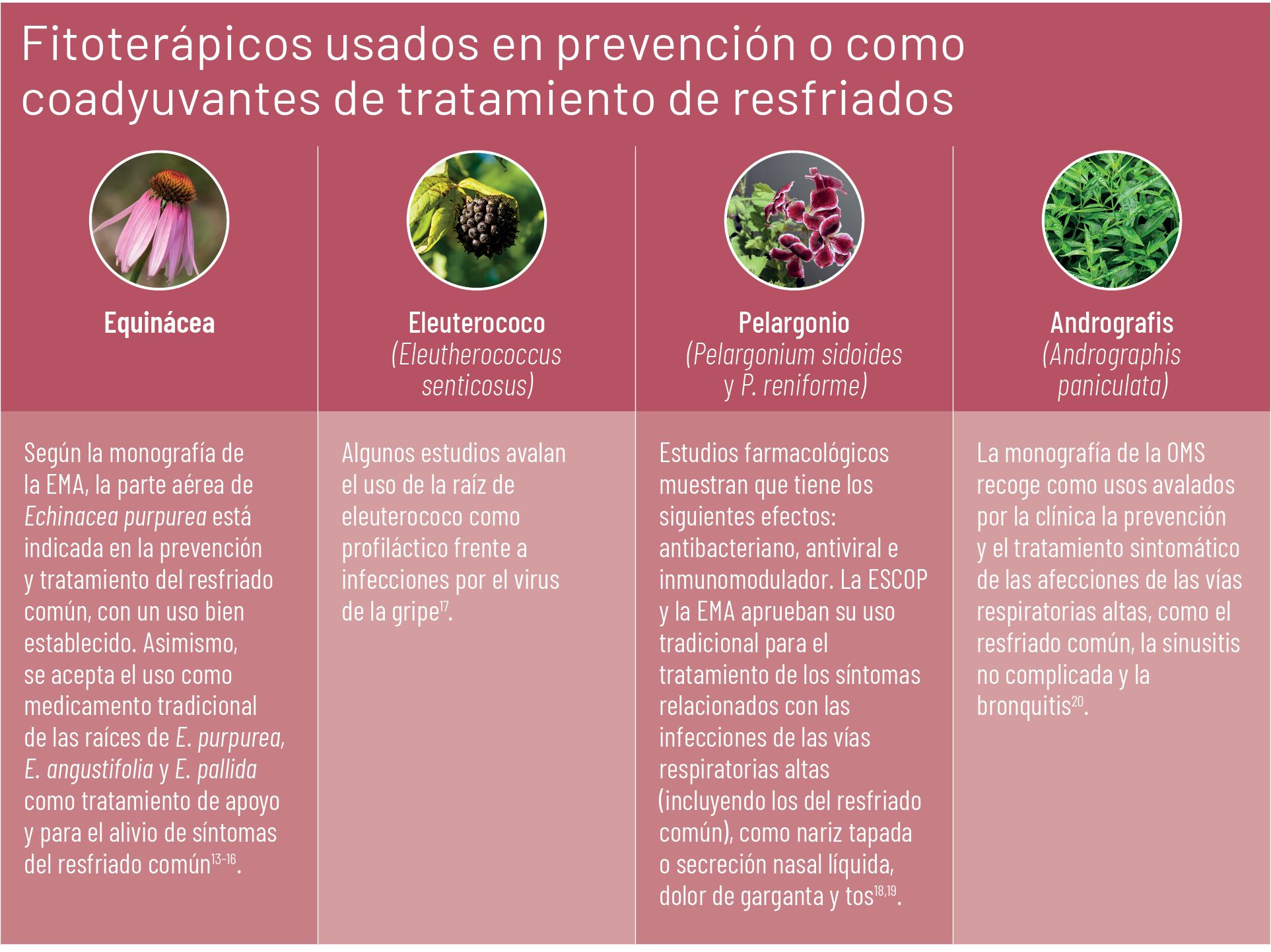 33 EF 606 TENDENCIAS te interesa resfriados y gripe tabla 6 33 EF 606 TENDENCIAS te interesa resfriados y gripe tabla 6