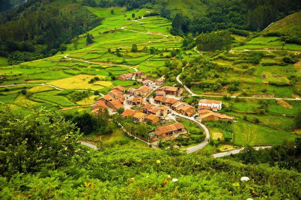 ©shutterstock