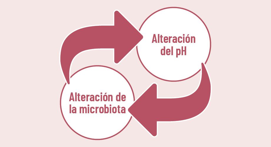 27 EF 609 TENDENCIAS te interesa cuidado intimo fig 4