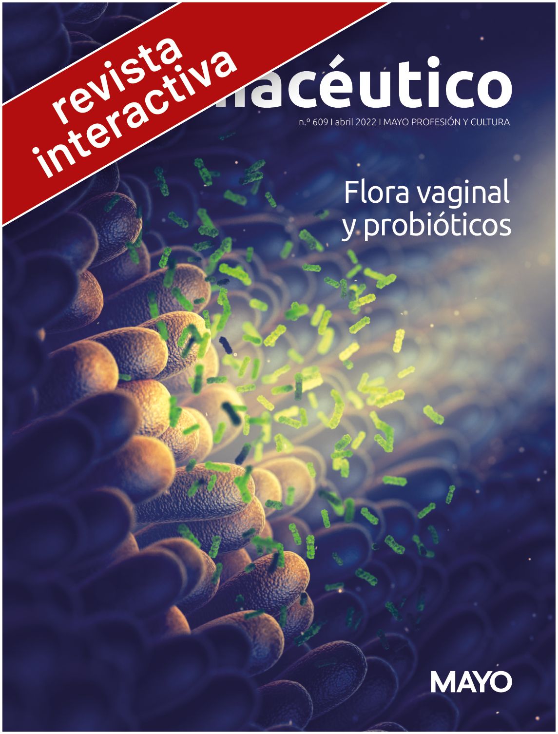 EF 2022   BOTO INTERACTIU 609
