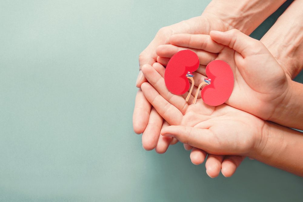 ©shutterstock