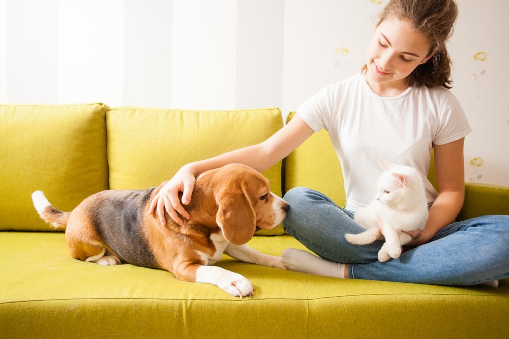 ©shutterstock
