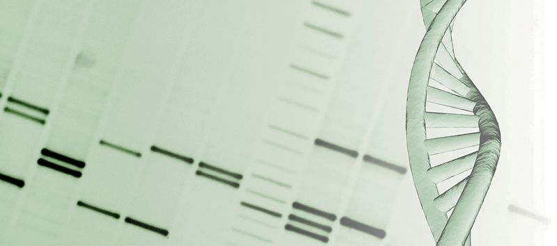 Farmacogenética versus terapia
