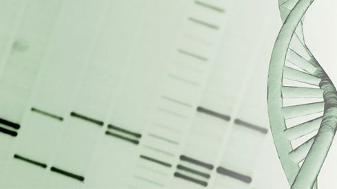 Farmacogenética versus terapia