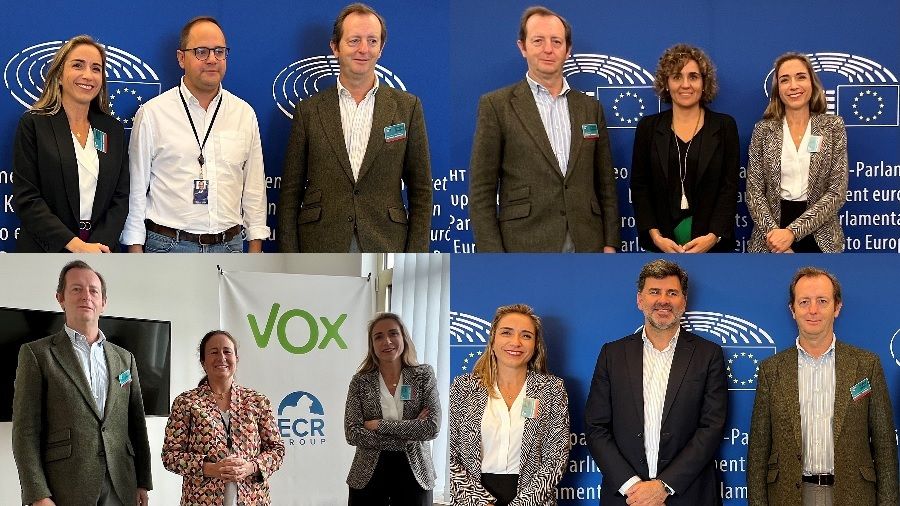FEDIFAR mantuvo diversas reuniones con eurodiputados españoles del Parlamento Europeo
