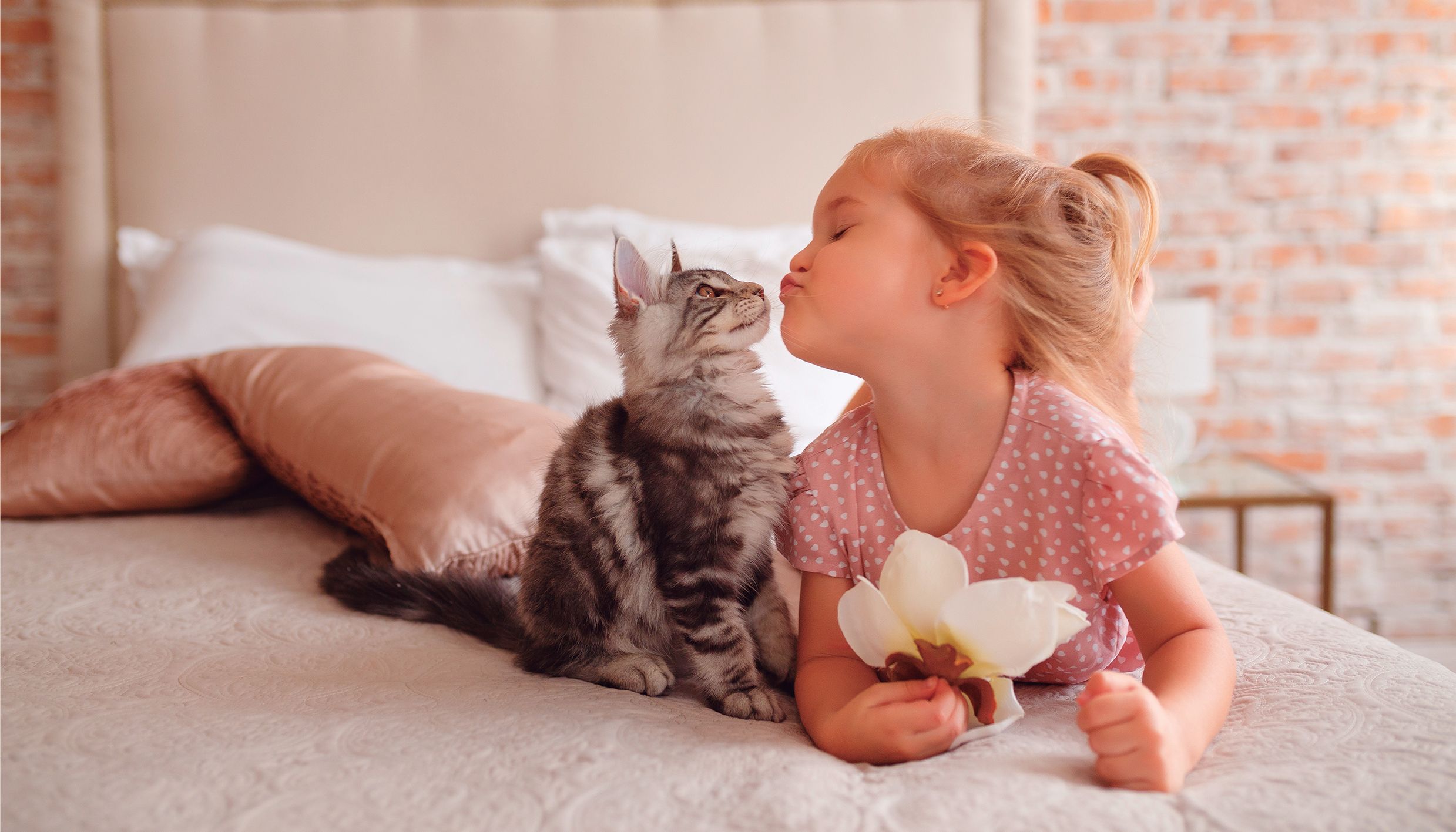 Afecciones más frecuentes de las mascotas