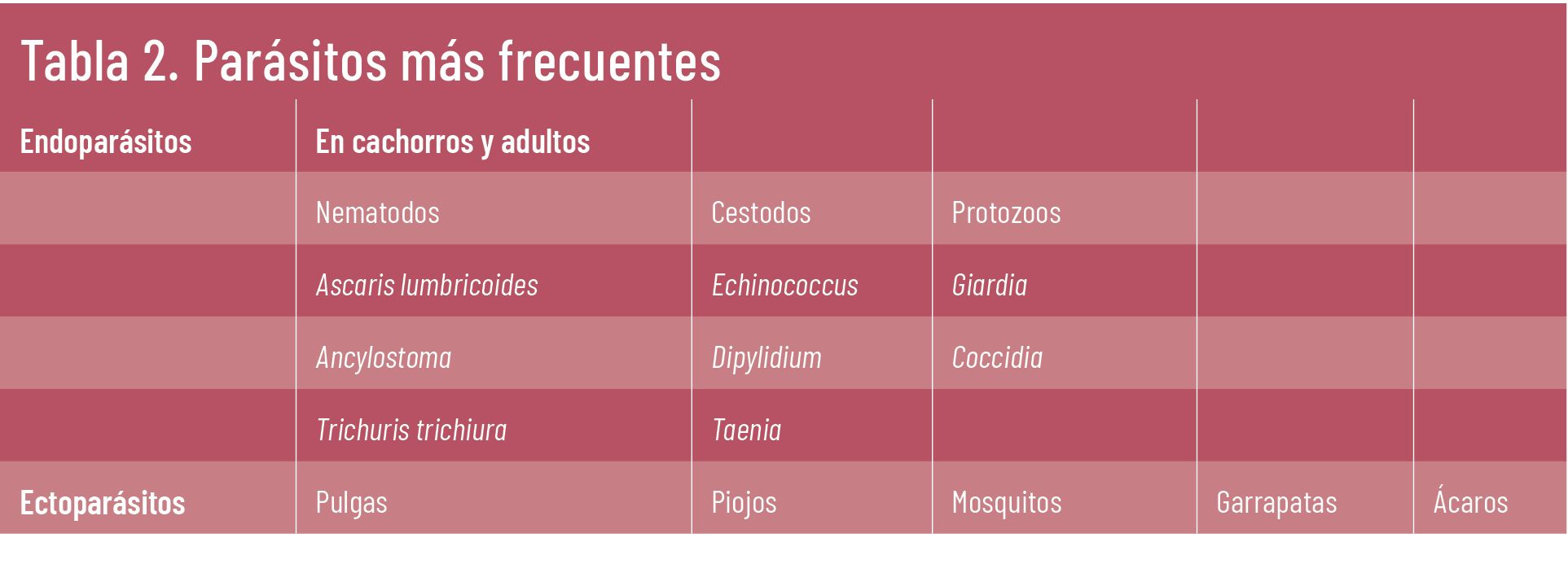 30 EF 616 TE INTERESA AFECCIONES MASCOTAS tabla2 30 EF 616 TE INTERESA AFECCIONES MASCOTAS tabla2