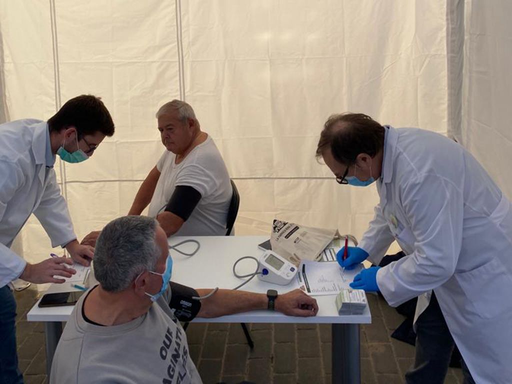 Carpa en Alfafuir
