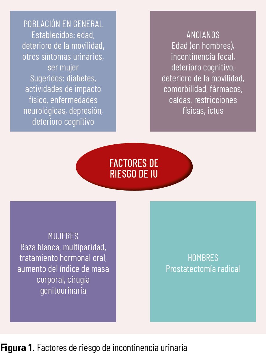 34 EF 618 TE INTERESA incontinencia FIGURA 01