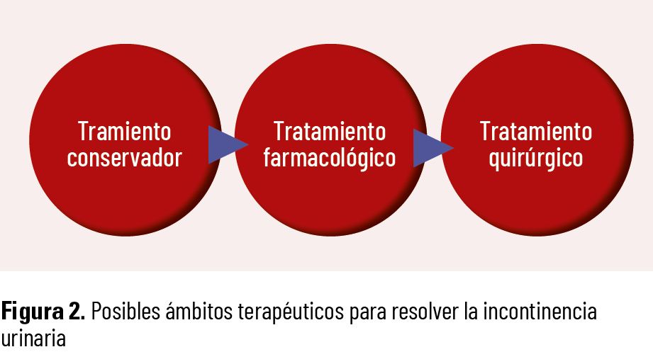 34 EF 618 TE INTERESA incontinencia FIGURA 02