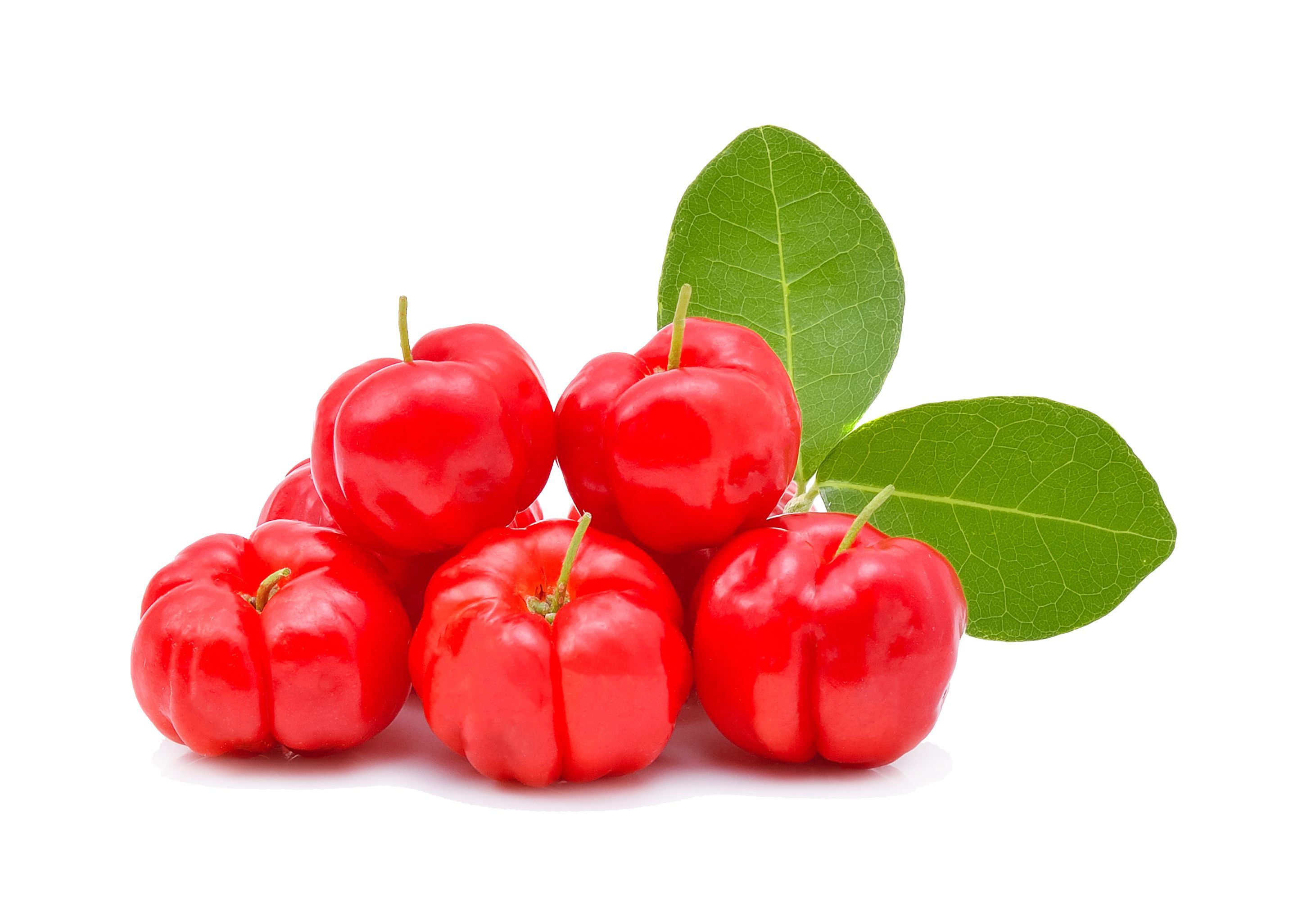 ©shutterstock