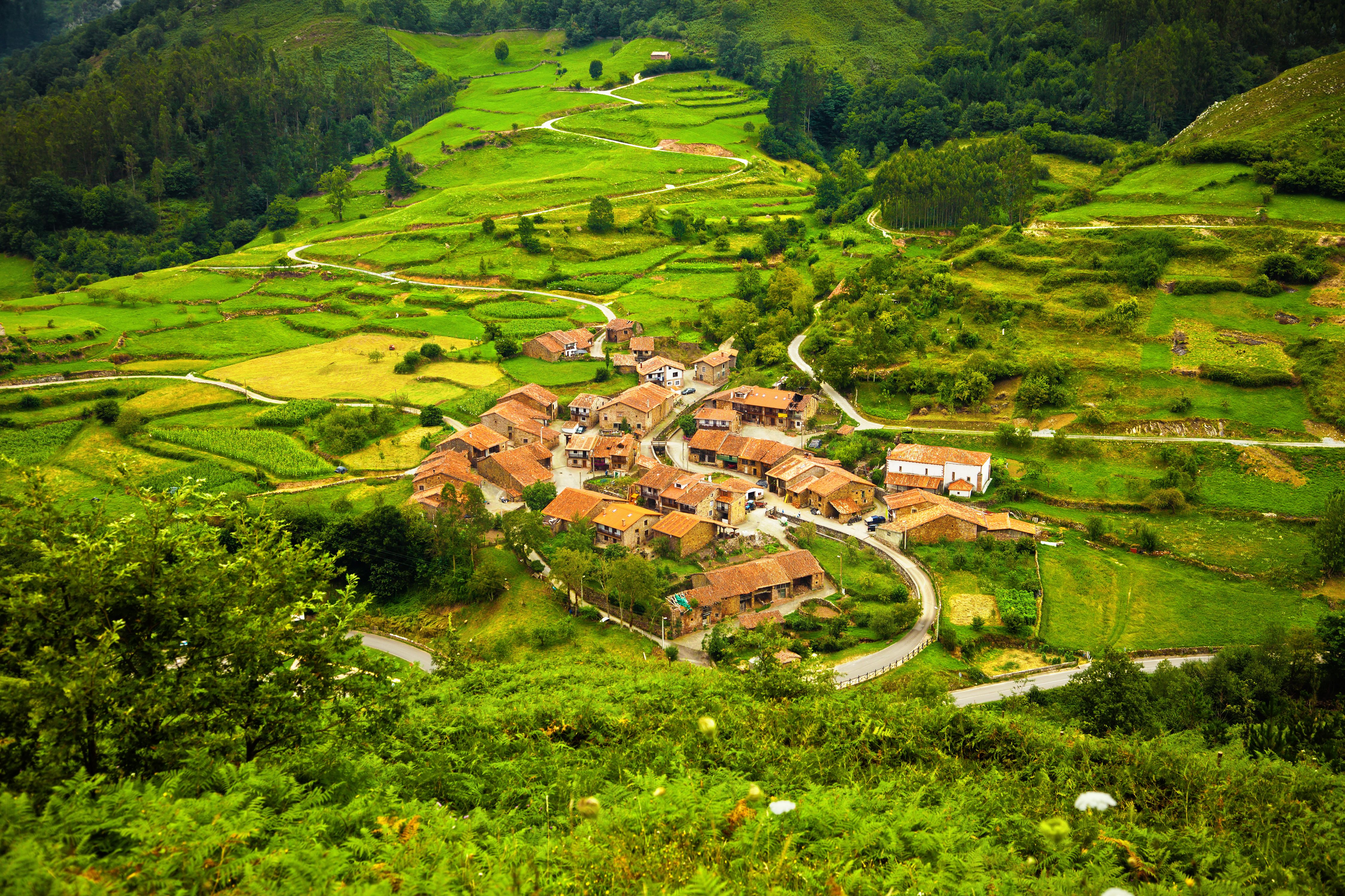 ©shutterstock