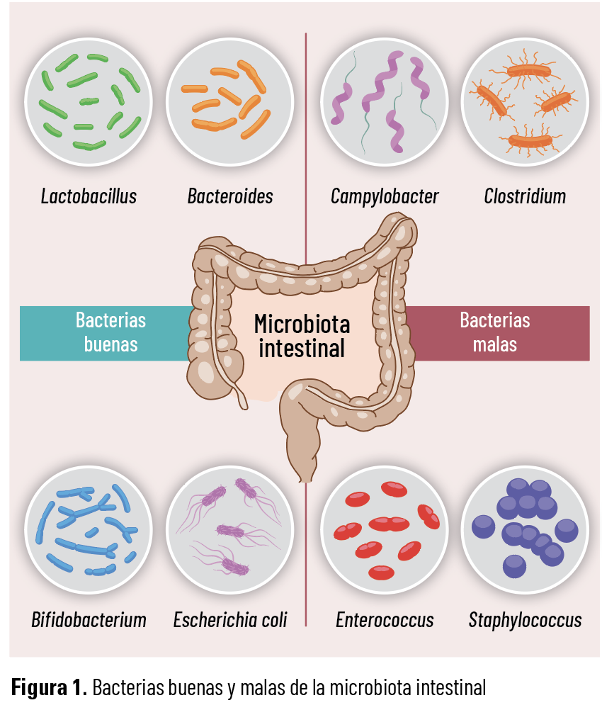 41 EF 619 TE INTERESA Disbiosis figura 1 41 EF 619 TE INTERESA Disbiosis figura 1