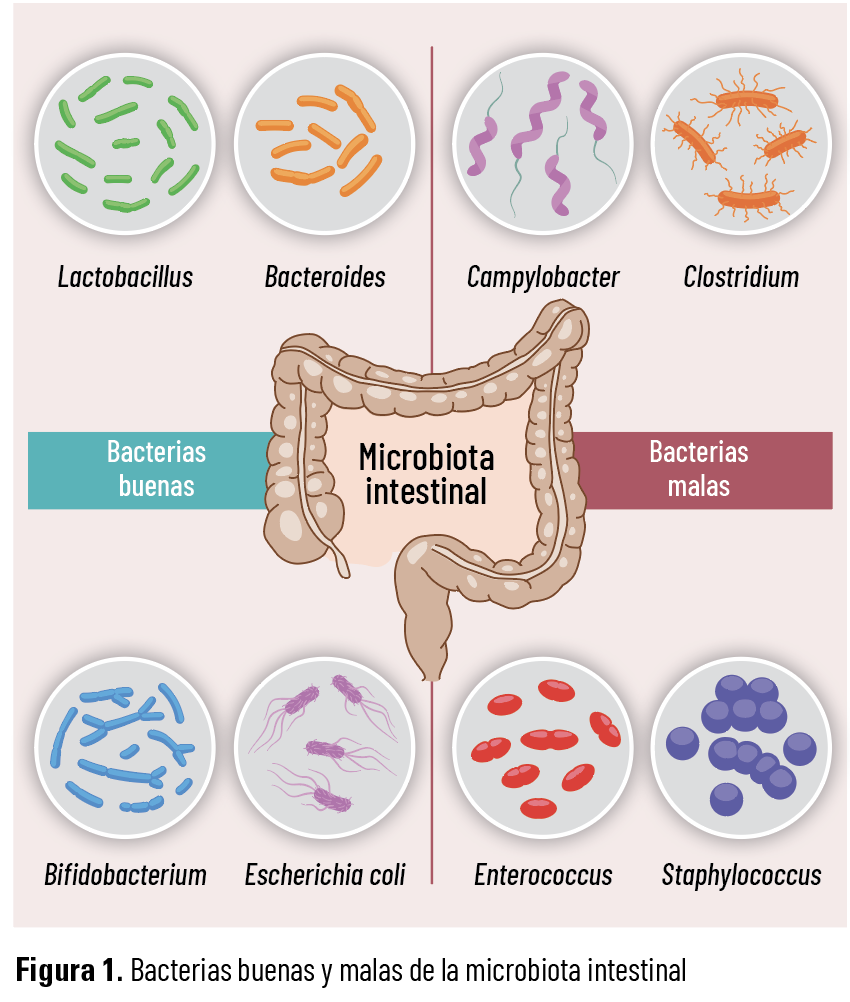 41 EF 619 TE INTERESA Disbiosis figura 1