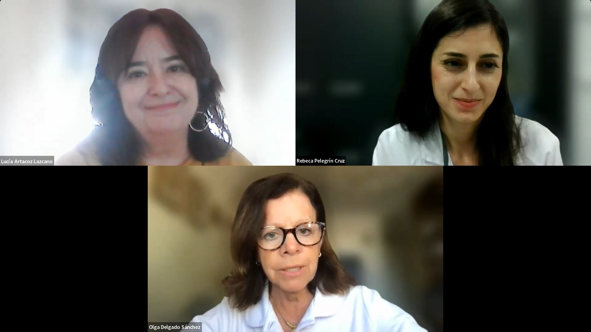 Lucía Artazcoz, Rebeca Pelegrín y Olga Delgado, presidenta de la SEFH