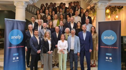 El nuevo Consejo directivo de anefp