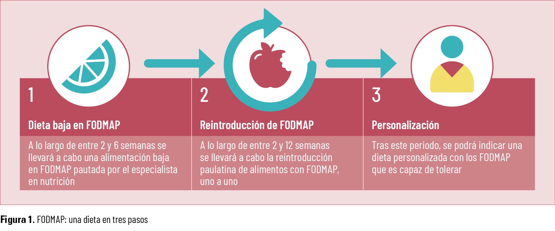 40 EF 621 TE INTERESA Dieta baja en FODMAP fig 01 40 EF 621 TE INTERESA Dieta baja en FODMAP fig 01