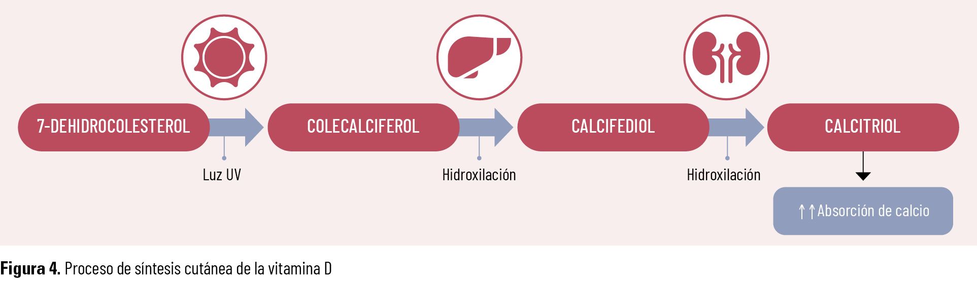 18 EF 621 TE INTERESA Menopausia fig 04 18 EF 621 TE INTERESA Menopausia fig 04