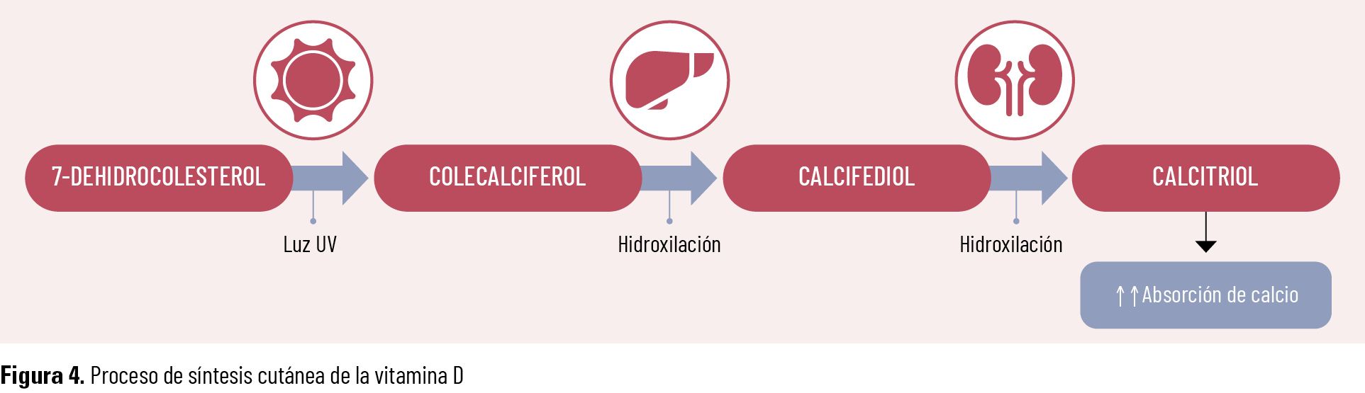 18 EF 621 TE INTERESA Menopausia fig 04