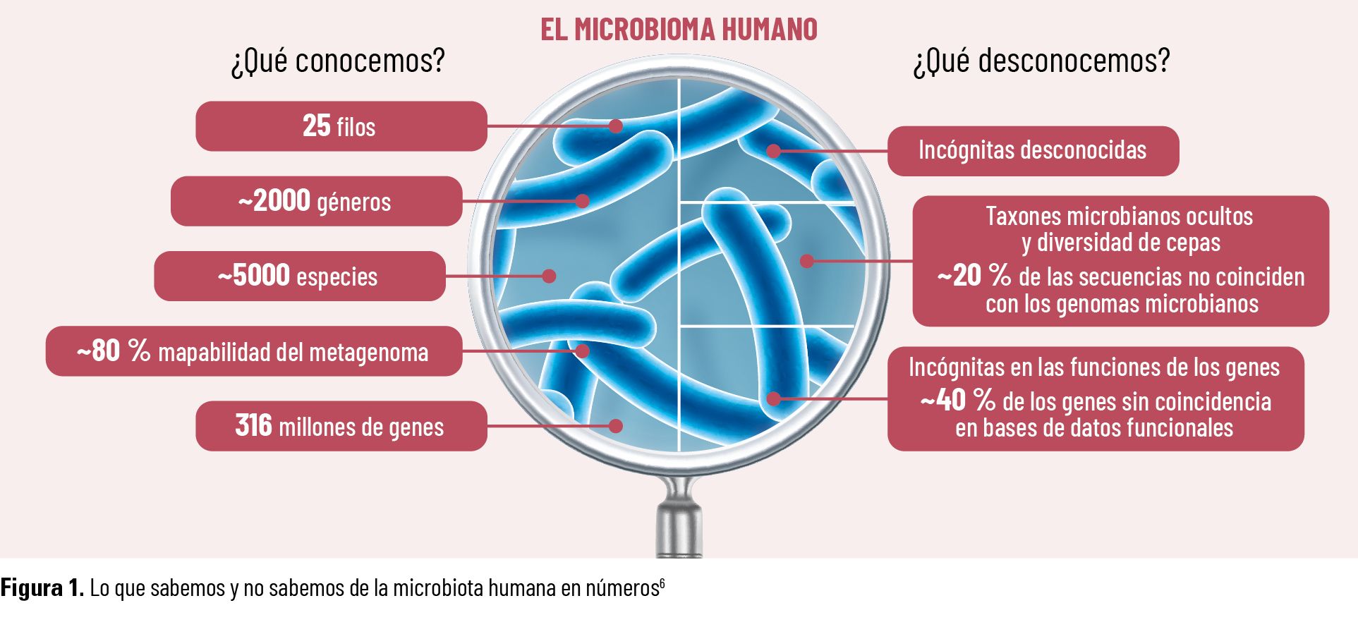 18 EF 622 TE INTERESA Disbiosis intestinal figura 01