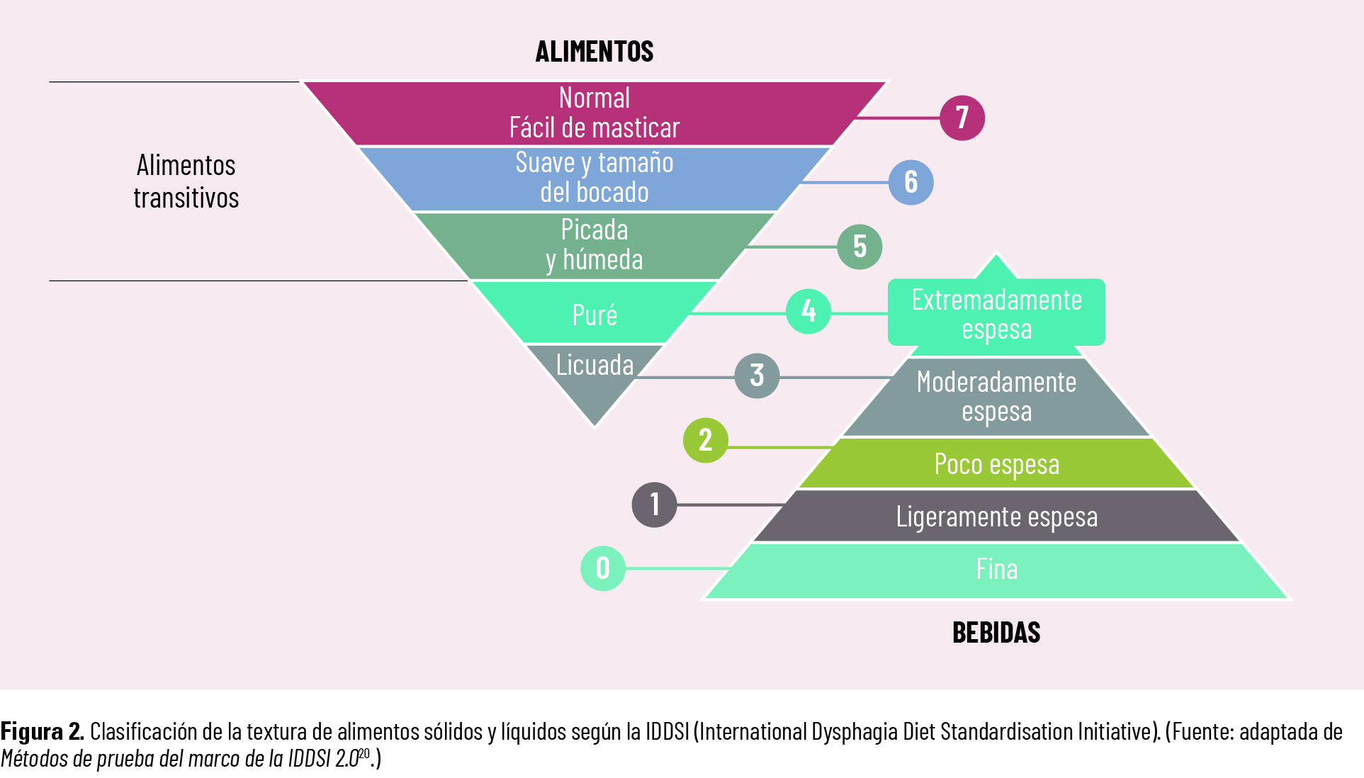 30 EF 624 TE INTERESA disfagia fig 02