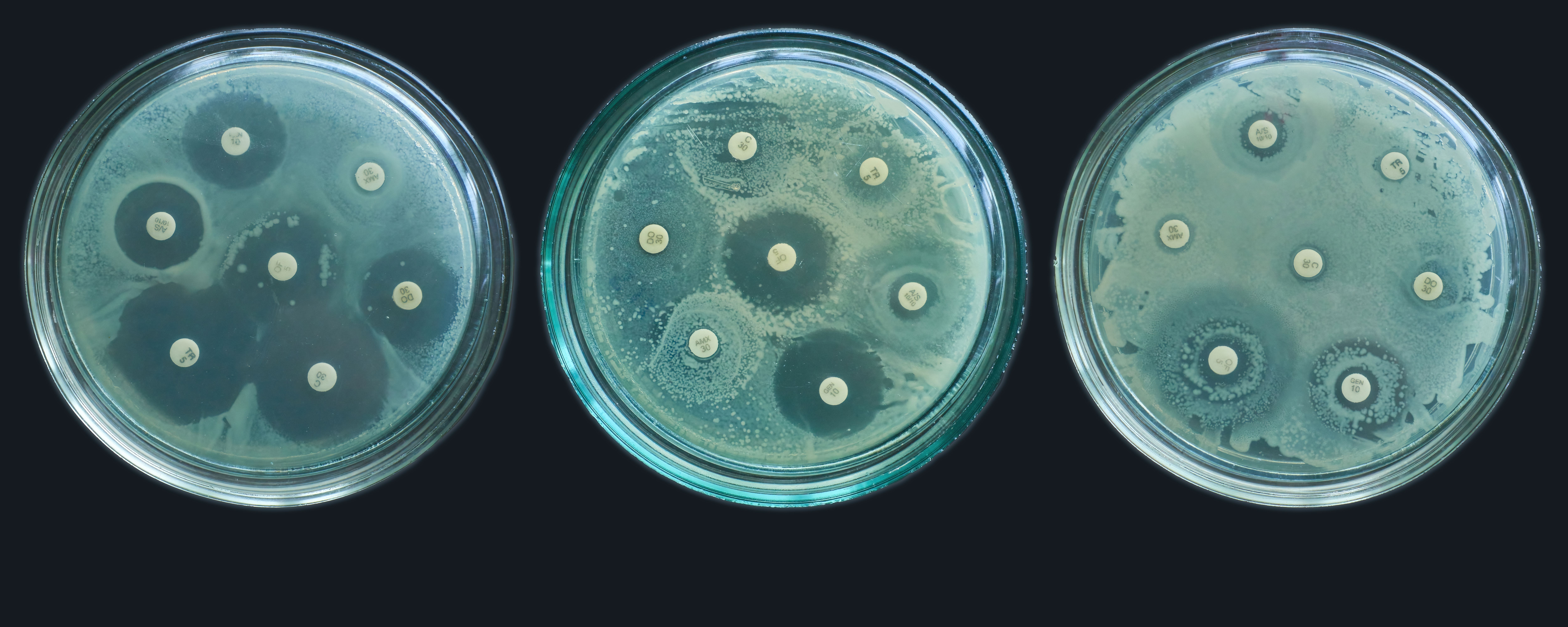 Resistencia bacteriana