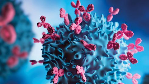El anticuerpo monoclonal nirsevimab