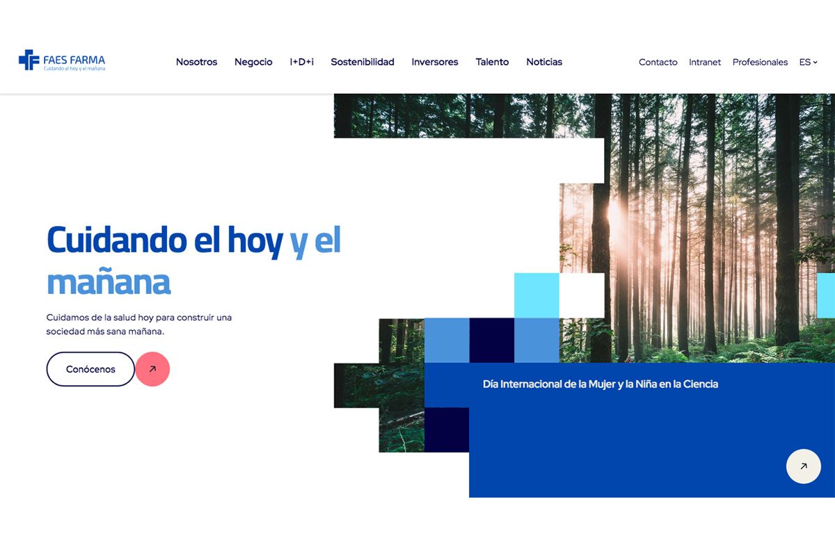 Imagen de la web corporativa de Faes Farma