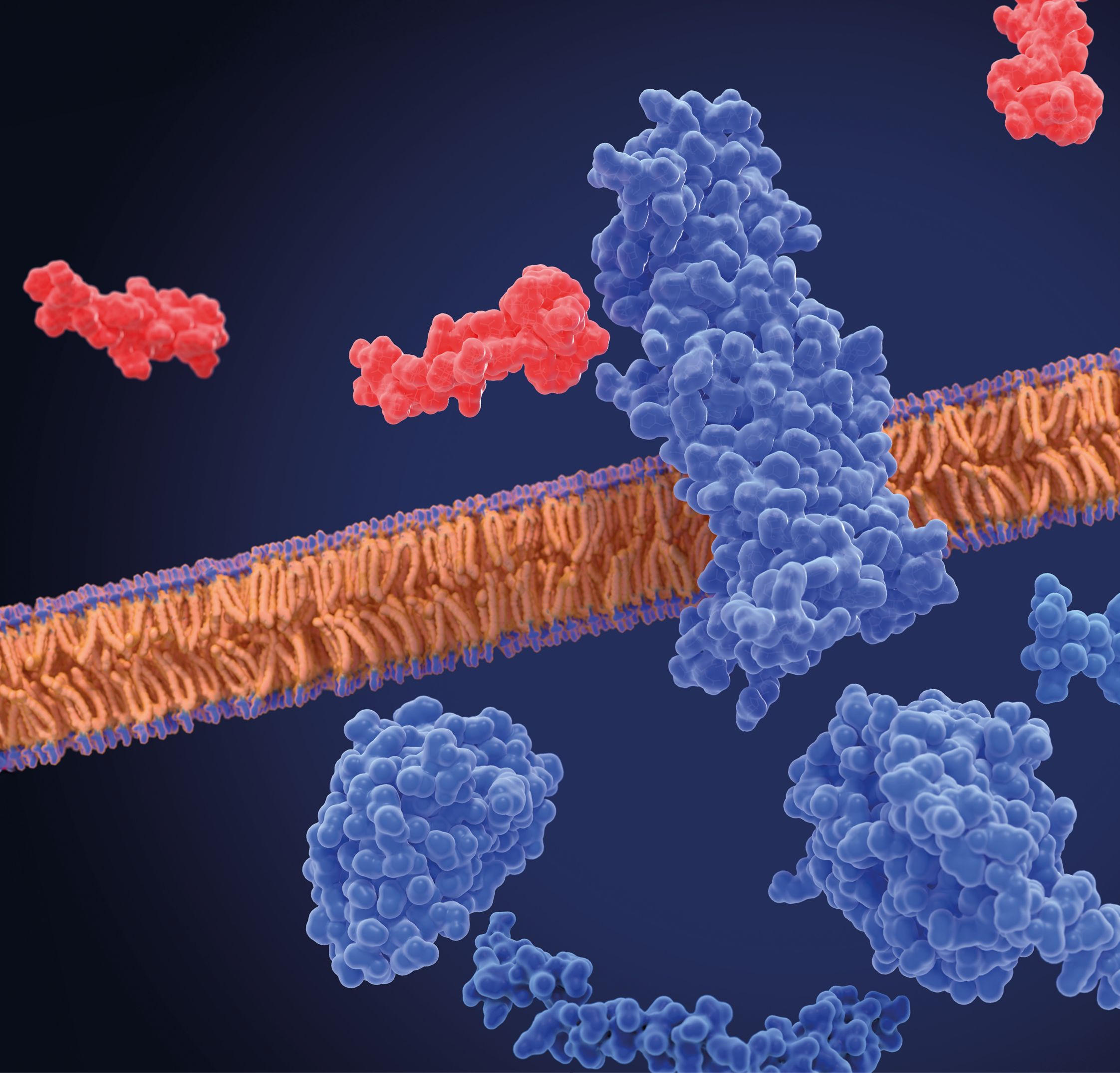 Semaglutida, el tratamiento en boca de todos para la diabetes tipo 2 
