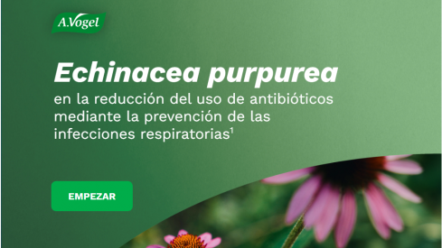 Nueva formación online sobre el tratamiento de las infecciones respiratorias