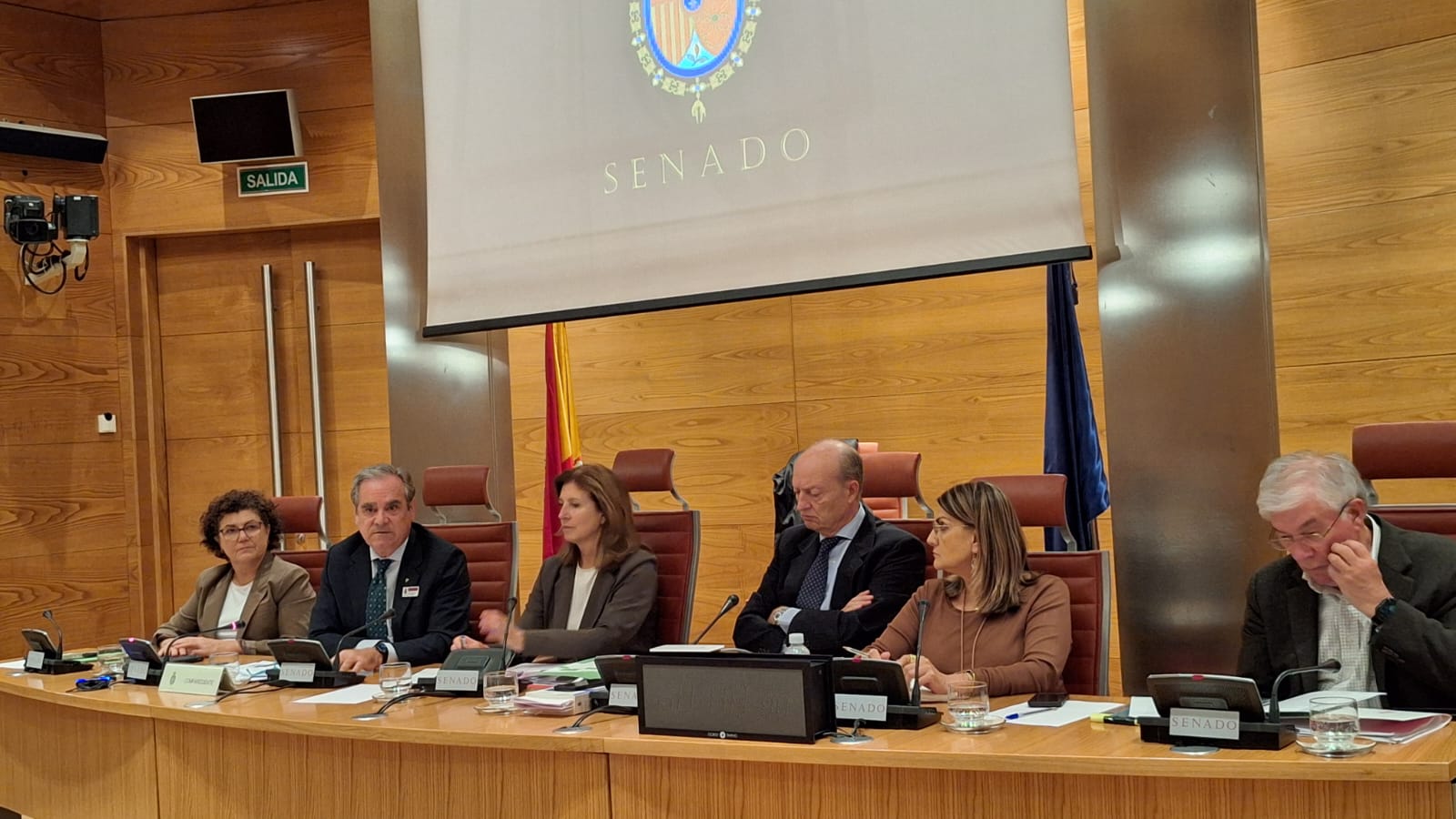 Jesús Aguilar durante su comparecencia en el Senado.