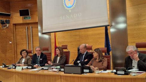 Jesús Aguilar durante su comparecencia en el Senado.