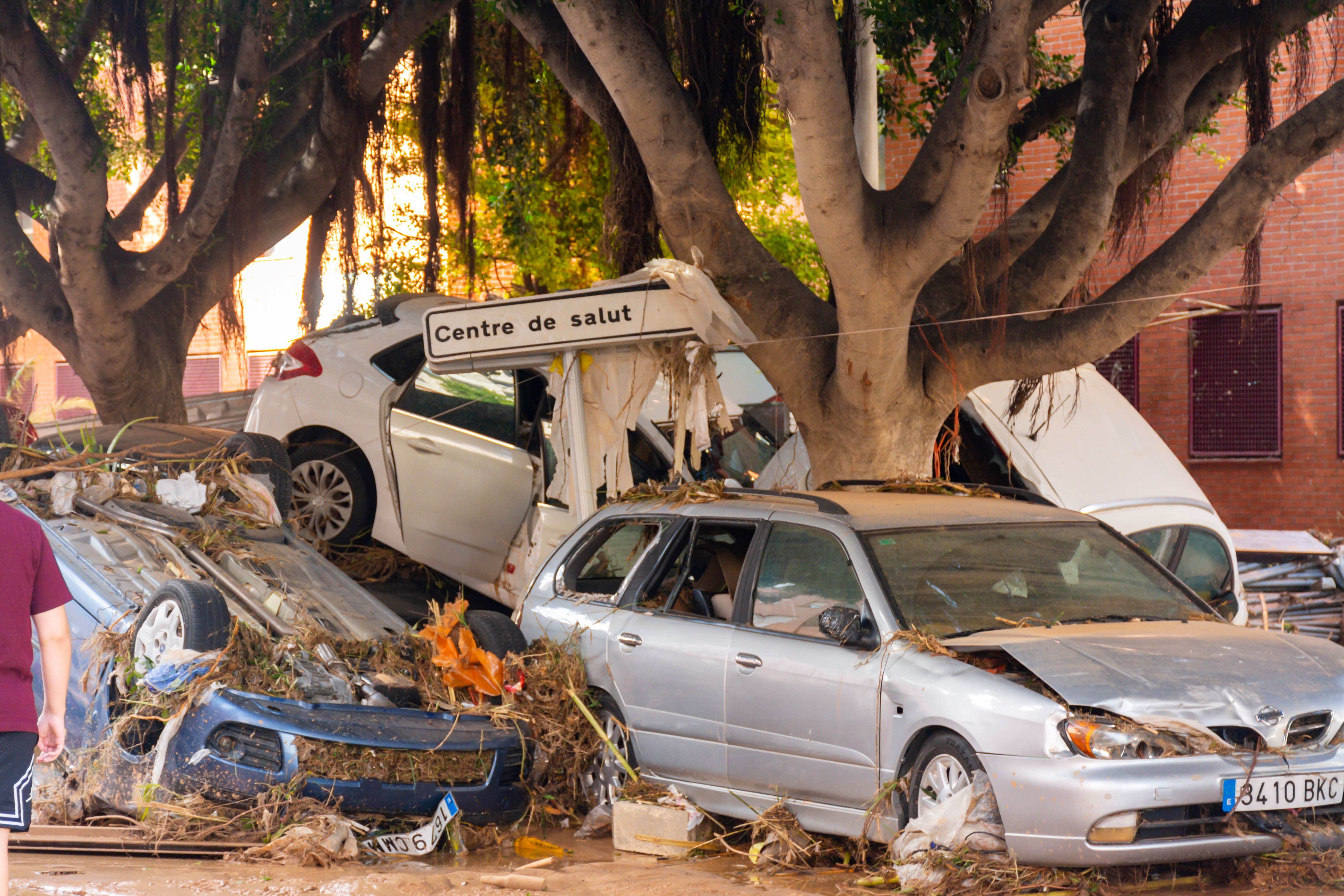 Vicente Sargues / Shutterstock.com