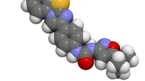 Quizartinib ya está disponible en España para la prescripción facultativa para personas con leucemia mieloide aguda de nuevo diagnóstico que sea FLT3-ITD positiva