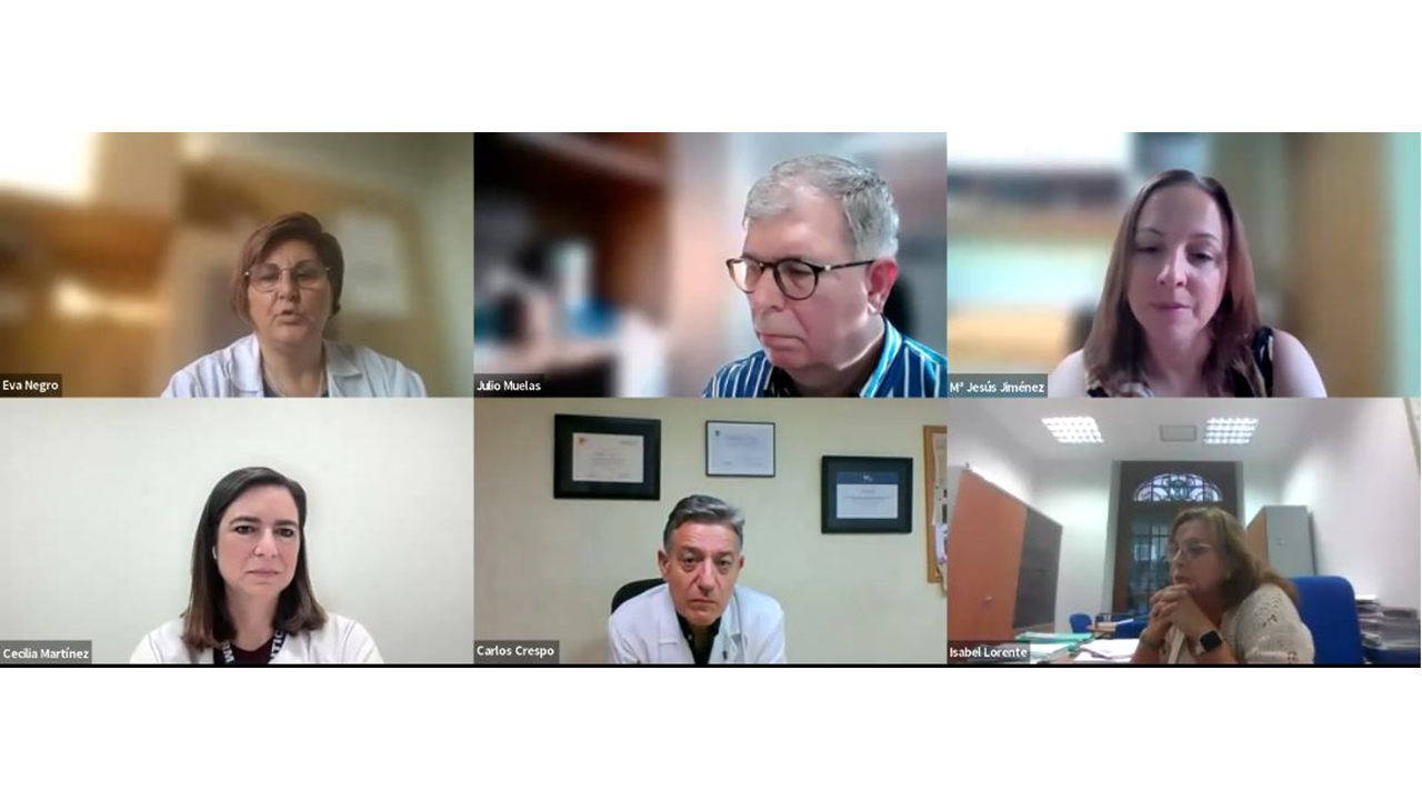 La SEFH presentó en un webinar la Guía de buenas prácticas de gestión de estupefacientes en los servicios de FH