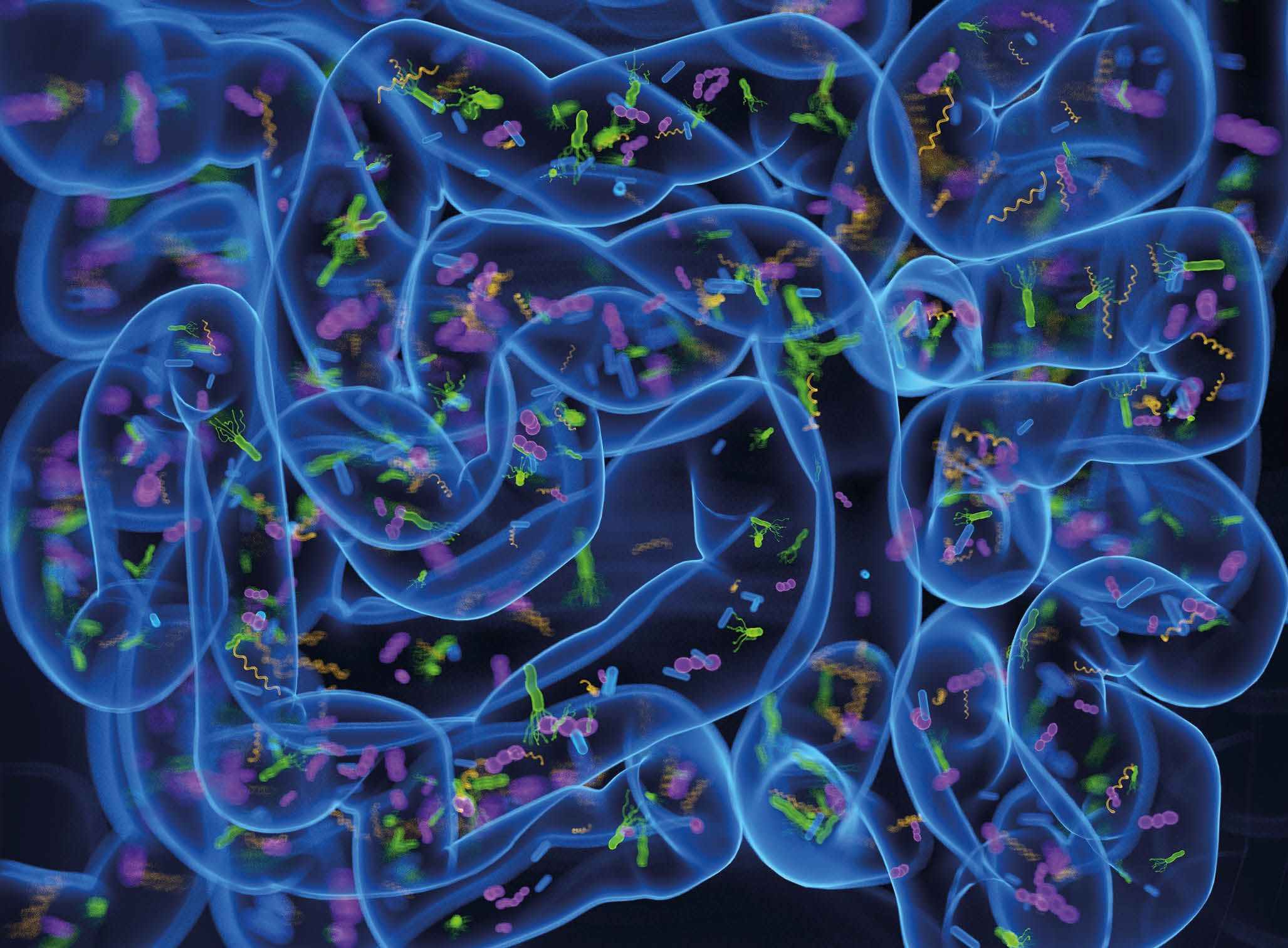 Sobrecrecimiento bacteriano (SIBO): perspectivas avanzadas 