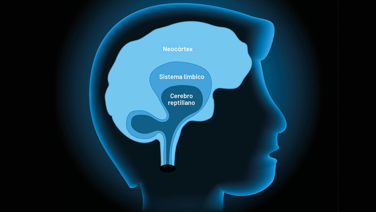 Neuromarketing en la farmacia: el impulso invisible, la decisión inconsciente detrás de cada compra