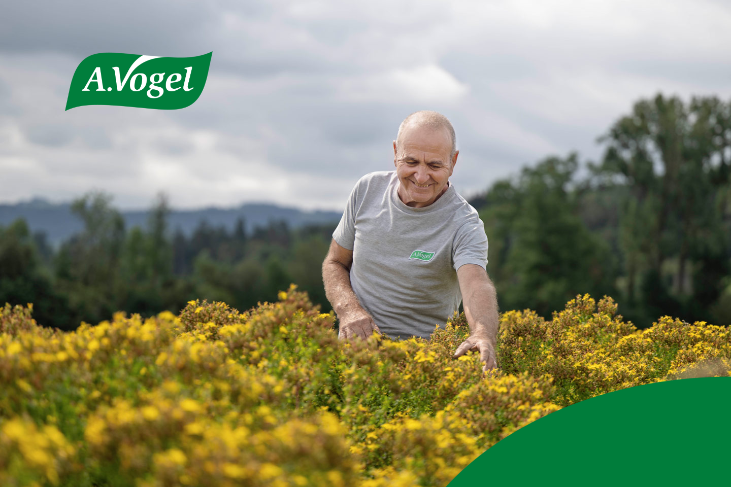 A.Vogel publica su primer Informe de Sostenibilidad y reafirma su compromiso con la naturaleza y la salud
