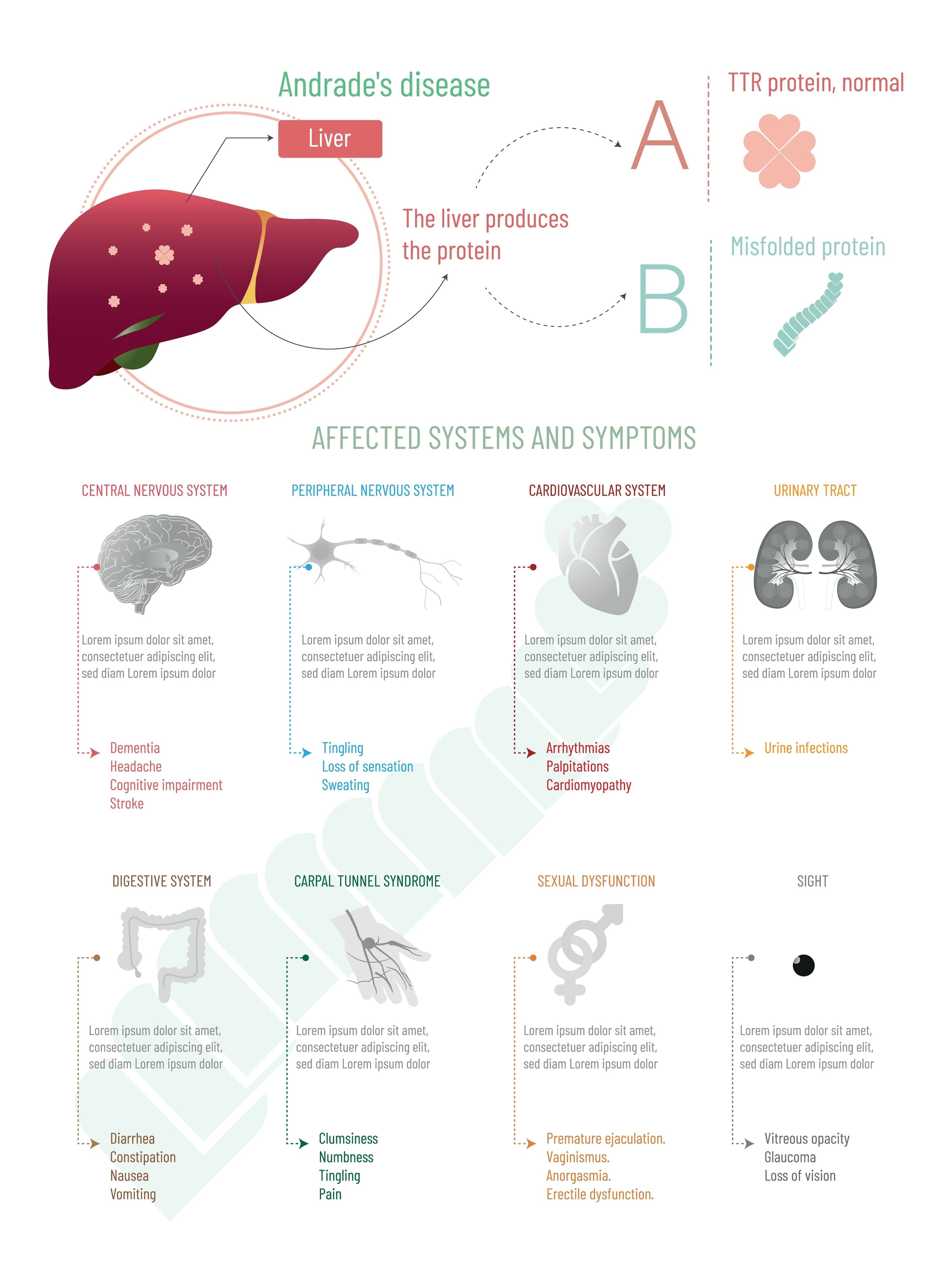 El estudio ATENAS: la experiencia de vivir con la enfermedad de Andrade